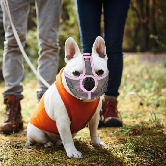 Dog Special Muzzle Buckle Design Wear-resistant Tear Resistant Professional Innovative Anti-bite Nylon Mesh Short