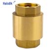 Haisidick GNJZ-631 Vertical Brass Spring Check Valve