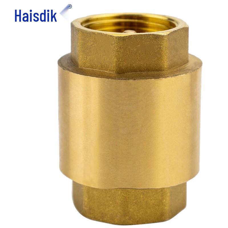 Haisidick GNJZ-631 Vertical Brass Spring Check Valve