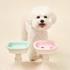 Well Fit Bowl Green/Pink Dog Cat Porcelain Ceramic Food Bowl Water Bowl Dish