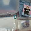 SEVENTEEN Fan Club Carat 4-Unit Kit (with Poka Included)
