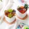 Mini Bamboo Tray Wood Saucer Flower Pot Tray Cup Pad Coaster Plate Kitchen Decorative Plate Creative Coffee Cup Mat Home Decor