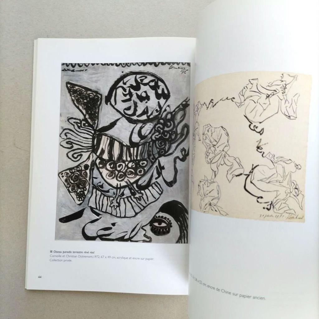 [USED] COBRA: Singulier pluriel/COBRA School Art Collection