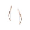 Skagen Stainless Steel Earrings SKJ1328791