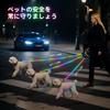 Colaseeme Dog LED Light for Medium and Large USB Visibility Range 500m Leash, Dogs, Rechargeable, (Colorful, 1.5m)