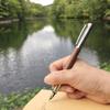 LACHIEVA LUX Walnut Wood Fountain Pen with Nib and Fine Nib Gift Set Perfect for a Special Gift German-Made -