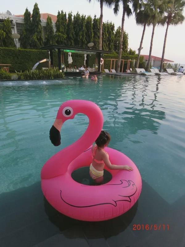 High-Quality 90cm Fire Crack Bird Inflatable Swimming Ring for Kids