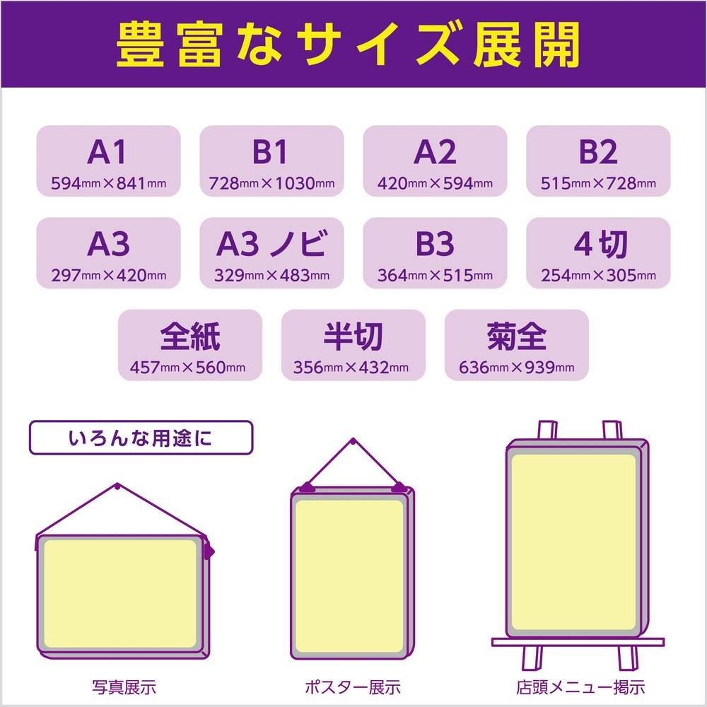 HAKUBA New Fancy Panel Frame Poster Aluminum Frame Insert Type Front PET Sheet AMZFNFP10-A3