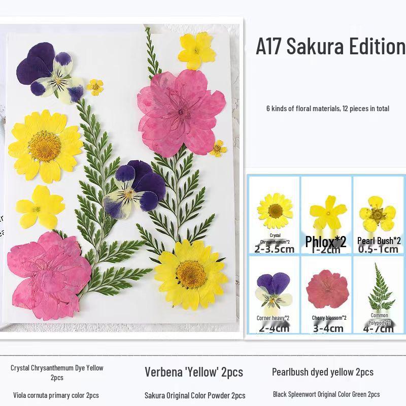 Handmade Resin Pressed Flower Bookmark DIY Kit: Transparent Specimen Stickers & Dried Flowers for Students