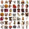 50 Cartoon Emoticon Packs MEME Stickers Guitar Notebook Suitcase DIY Waterproof Stickers