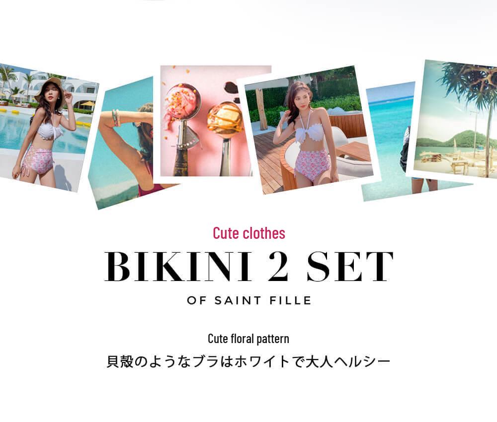 Export Japan Sexy Lace Split Swimsuit for Seaside Holidays