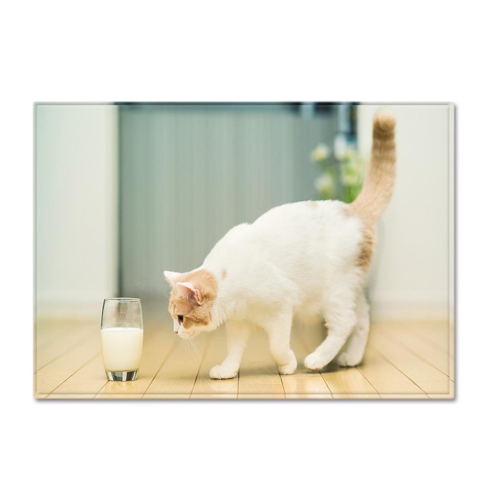 Animal Large Carpet Feather Wind Bedroom Floor Mat