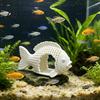 Pești și animale marine – Decorul acvariului