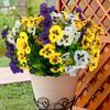 Decorațiuni pentru casă – Flori decorative şi coroane de flori