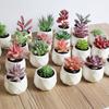 1Pc Artificial Flower Succulent Plant Bonsai DIY Garden Office Home Party Decor