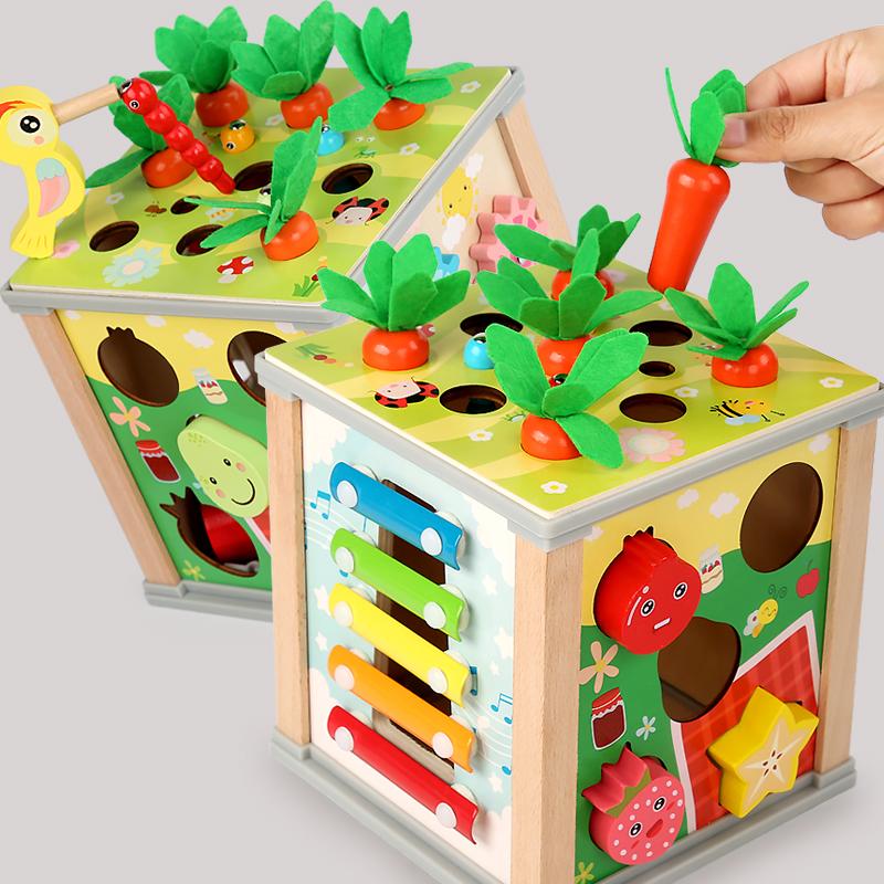 9 In 1 Montessori Permanence Box Carrots Toys Child Wooden Shape Sorting & Matching Educational Toys for Kid Over Age 1-Year-Old