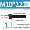 8.8 High-Strength Socket Head Cap Screw Bolt (M4-M20)