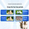 Chondroitin Calcium Supplement for Young Rabbits' Joint and Foot Health