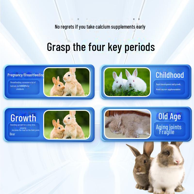 Chondroitin Calcium Supplement for Young Rabbits' Joint and Foot Health