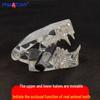 Transparent Cat Veterinary Oral Cavity Model 1:1 - Teaching Demonstration Simulation Mold