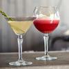 Crystal Red Wine Goblet & Martini Glass Set