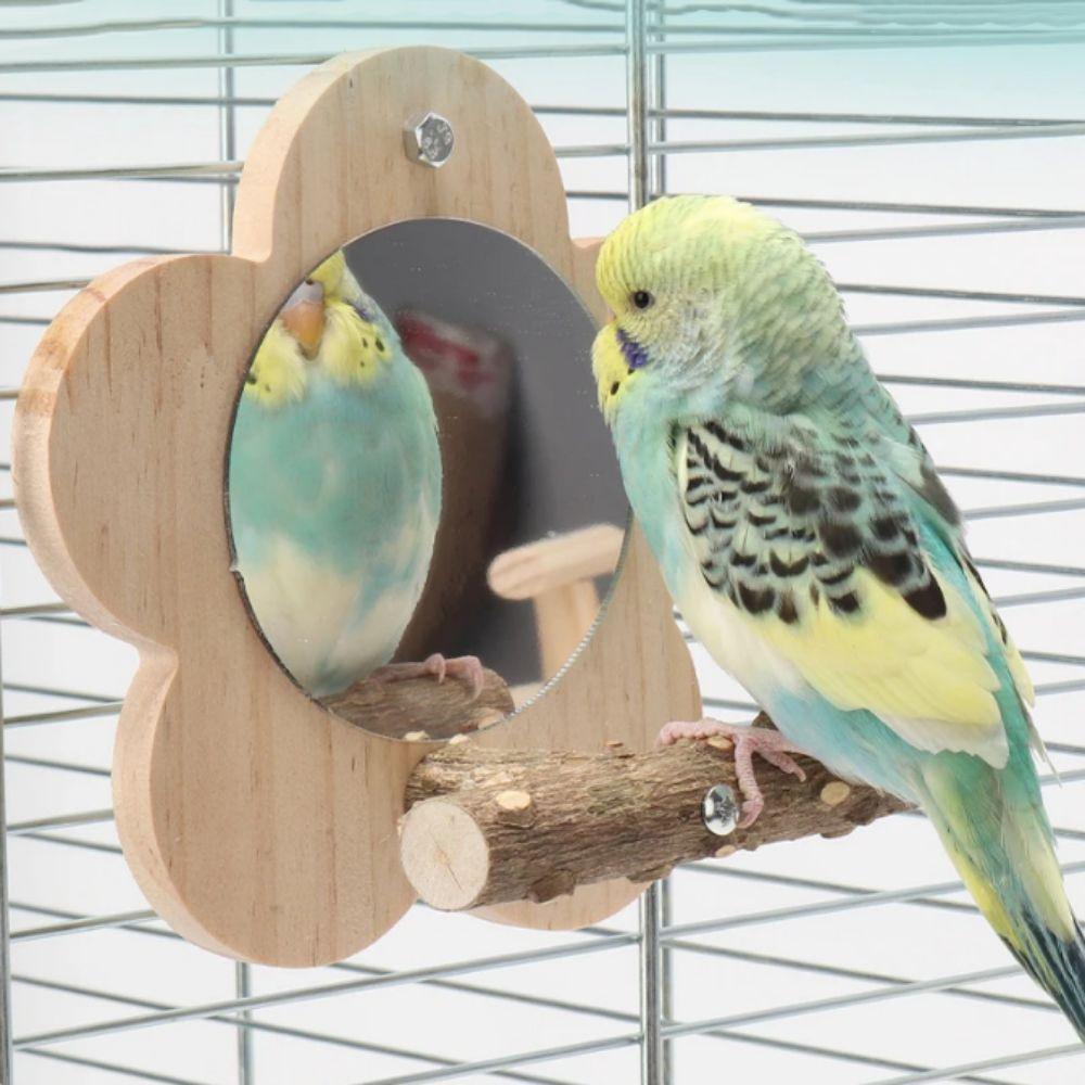 Wear Resistant Bird Perch Stand with Mirror Flower Shape Bird Branch Perch Rod  Grinding