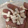 Dental Student Practice Model: Full Mouth with 28 Loose Tooth Pieces