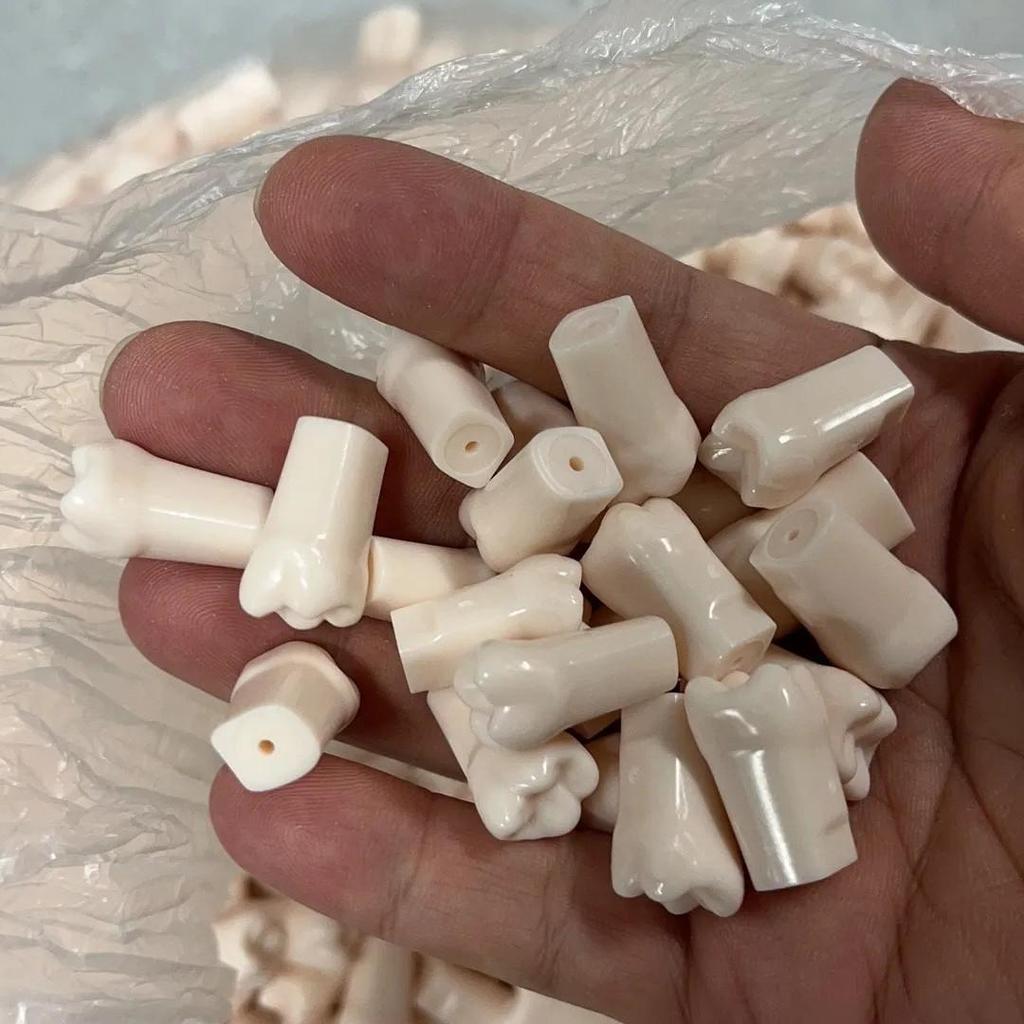 Dental Student Practice Model: Full Mouth with 28 Loose Tooth Pieces