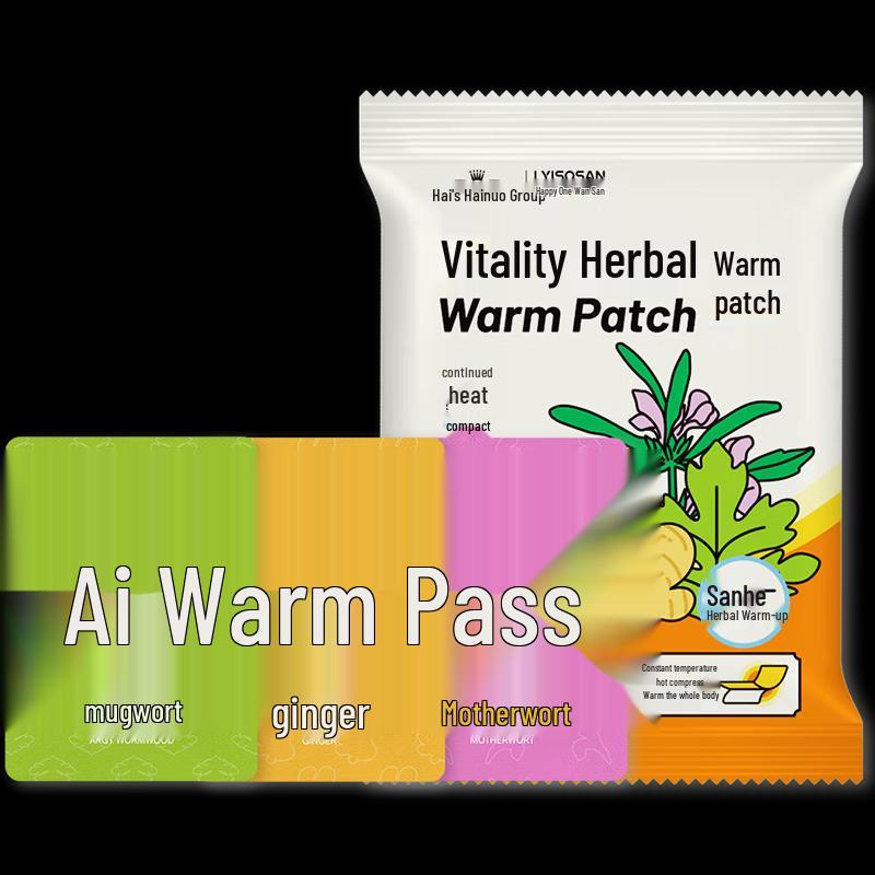 Haishi Hainuo Herbal Warming Patches (10-Count)