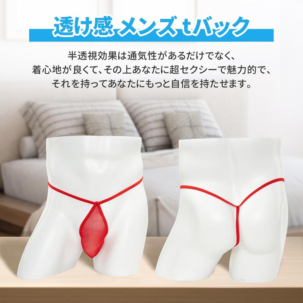 Amy Coulee Sheer Mesh Sexy Solid Color Men's T-Back Lingerie, Ultra-Thin, (024-A-Red, L)