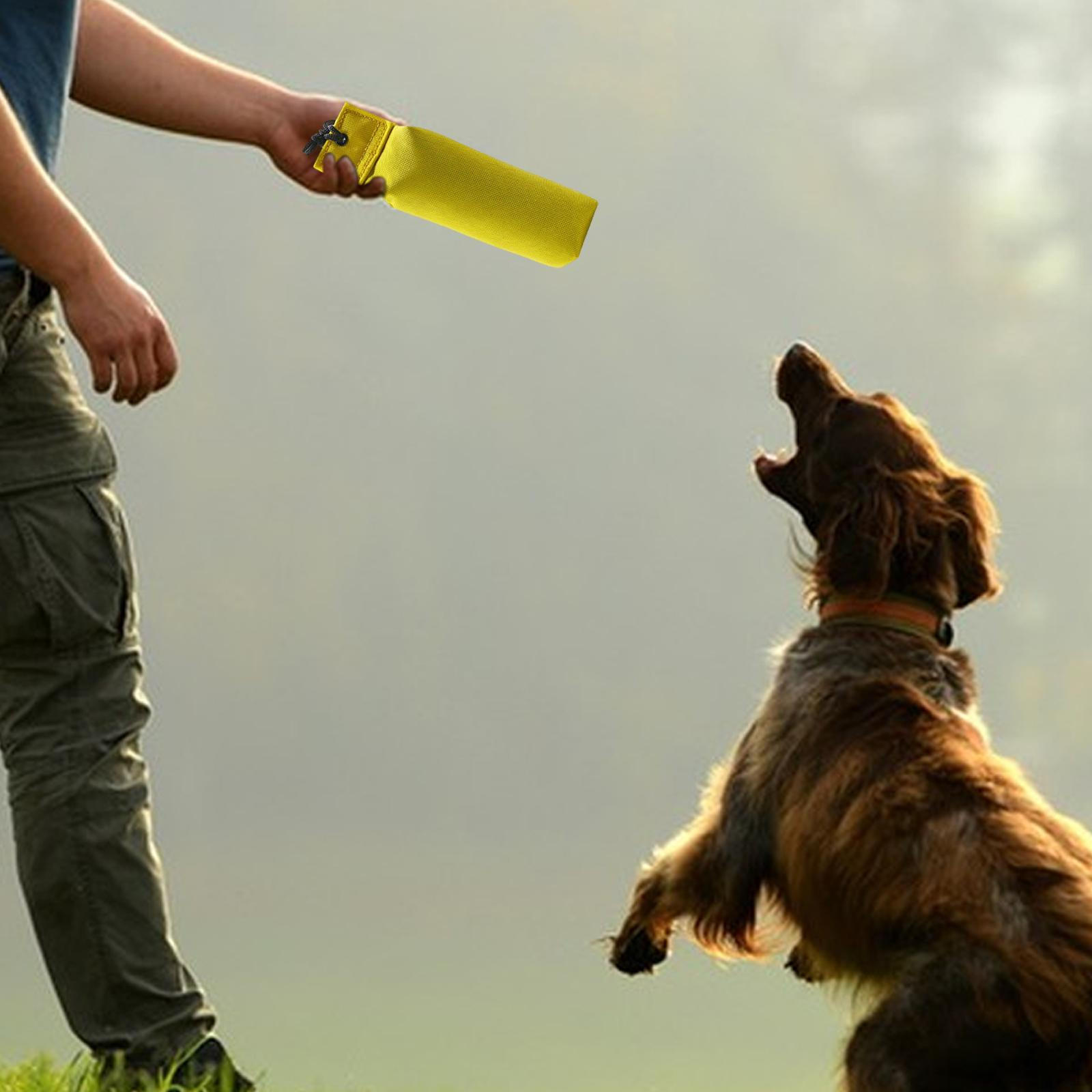 Bite Resistant Dog Tug Toy for Small And Medium of War Games, Pull Yellow S