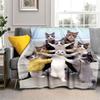 1PC Cute Cat, Cartoon Blanket, All Season Lightweight Home Office Outdoor Nap Multifunctional Blanket