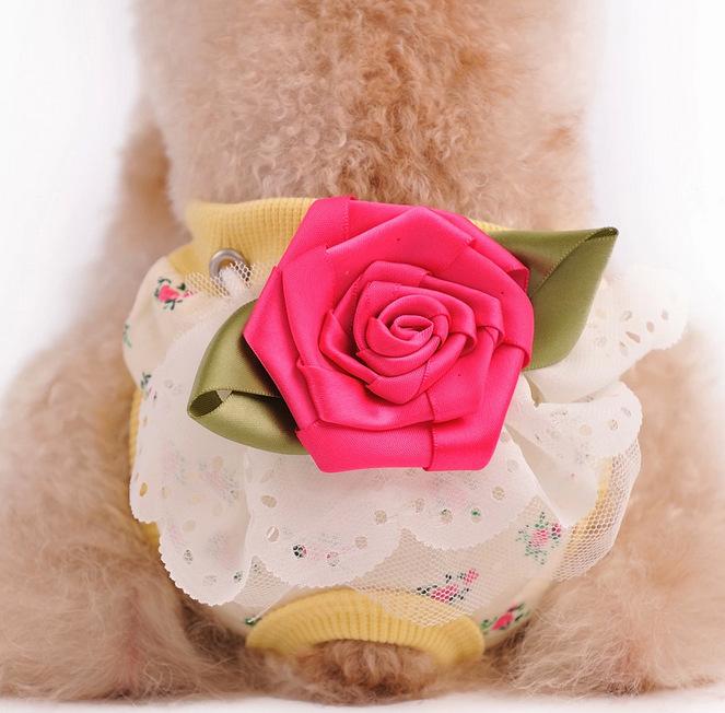 Clearance Specials, Dog Pet Clothes, Dog Clothes, Dog Vest, Physiological Pants, Skirt, Sweater, Cotton Clothes, Teddy Dou