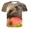 Summer T-Shirts Animal Hedgehog 3D Print  Fashion Casual Boys Girls Children O-Neck Tops
