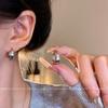 Metal Texture Small Earrings Women's Cold Wind Temperament Earrings Design Earrings