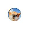 Cute Penguin Puppy Cat Mobile Phone Airbag Bracket Back Sticker Retractable Stable Desktop Wind Niche