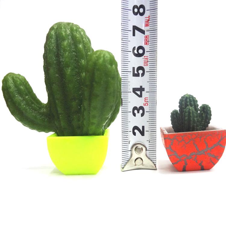 Water-Expanding Cactus Succulent Toys - Creative, Unique & Novel Gifts for Kids