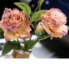 Burnt Edge Rose Imitation Oil Painting for Car Interior Decoration – Cup Holder Floral Ornament