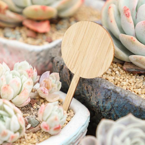 

10 шт., этикетки с растениями, очаровательные неокрашенные Т-образные деревянные садовые маркеры с героями мультфильмов, товары для дома