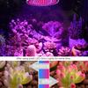 220/110V Plant Growth Light 36/72 LED Full Spectrum 3W/5W Garden Greenhouse Seedling Nursery Growth Promotion Lamp Planting Tool