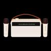 WOPOW AP09 Karaoke Speaker CN plug (adapter included)