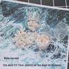Seashell Conch UV Epoxy Craft Encapsulation Kit