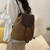 Woven Straw Backpack Drawstring Flap Small Backpack
