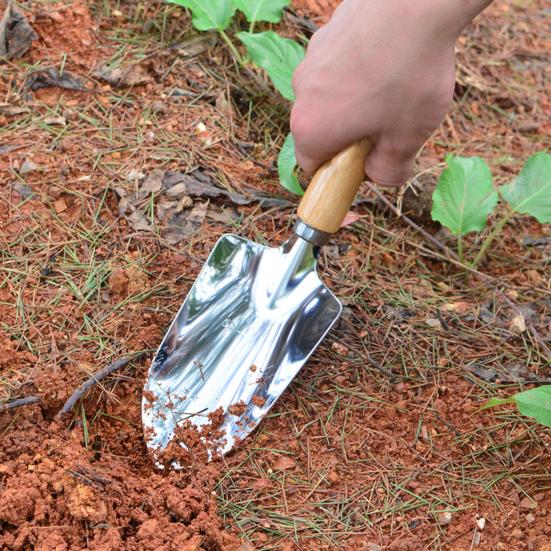 Garden Hand Trowel Heavy Duty Polished Stainless Steel Garden Shovel with Wooden Handle Digging Transplanting Shovel