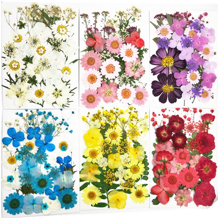 Handmade Kindergarten Collage: Real Dried Leaf and Flower Stickers for Face and Photo Decoration