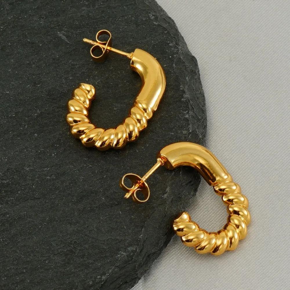 Women's Textured Stainless Steel Hoop Earrings Light Luxury High-End Non-Fading Vacuum Plated Jewelry Accessory