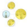 China's Four Great Divine Beasts, White Tiger, Green Dragon, Xuanwu, Vermilion Bird, Gold and Silver Commemorative Coins