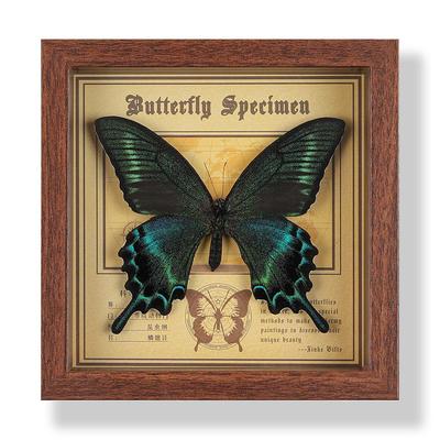 Echte vlinder specimen fotolijst, decoratief schilderij, 3D ornament, handgemaakte DIY, verjaardagscadeau, insect specimen