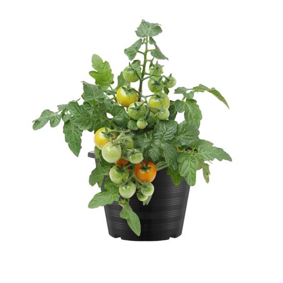 Stor Plast Blomsterpotte Kraftig Utendørs Hageplantekasse Plantepotte med Drenshull for Blomster Poteter Grønnsaker