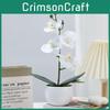 Aphrodite Simulation Phalaenopsis Flower Bonsai Home Living Decoration Room